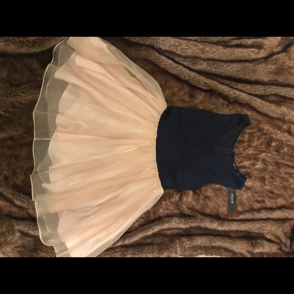 Classy blue and tan dress. Never worn.